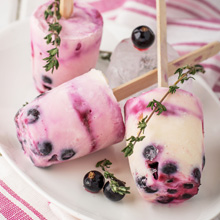 Blackcurrant and Yoghurt Lollies